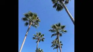 [FREE] WEST COAST TYPE BEAT - 