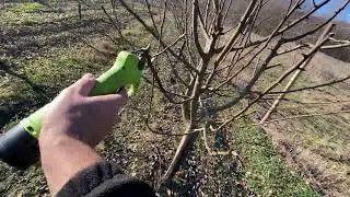 Tăieri la păr 🍐🍐🍐