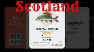 Creatures of the Deep - European Grayling