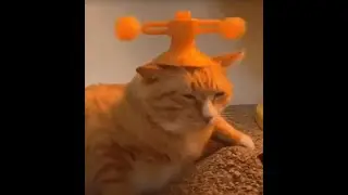 Dostałem bana 😔😔😔 (nie clickbait😔)