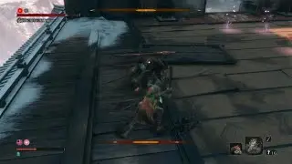 Sekiro:is hard but iam harder