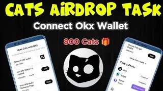 Cats Airdrop New Task Connect Okx Wallet| Cat's Airdrop bybit & Okx Task Complete|