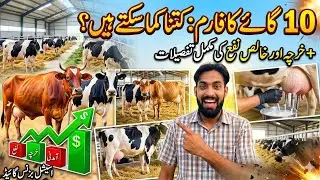 10 Cholistani Cows in Pakistan | Profitable Cow Farming Business | Low Investment High Profit