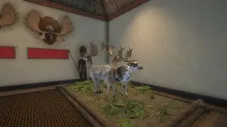 HARD Grinding for FALLOW DEER GREAT ONE  | Beginner COTW GUIDE !!Call Of The Wild