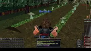 Obvious MACROQUEST user
