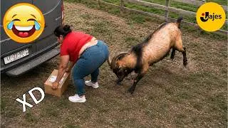 SI TE RÍES PIERDES NIVEL DIOS #246 🤣 VIDEOS DE RISA 😎 HUMOR VIRAL MEXICANO🤣