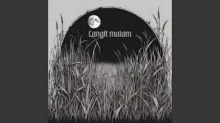 Langit malam