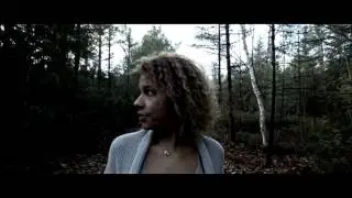 Like Animals - 