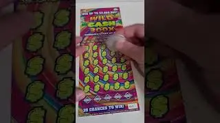 New 300X Scratch Off Lottery Tickets Wild Cash Kentucky Lottery!