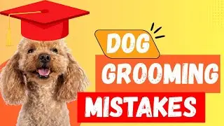 Top 10 Dog GROOMING Mistakes to Avoid at Home 🐶