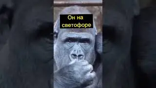 Зачем тонировка #shorts #авто #tiktok #shortsvideo #shortvideo #автоприколы #машина #viral