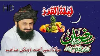 Molana Muneer Ahmed Domki Sahab 2025 New Full Bayan