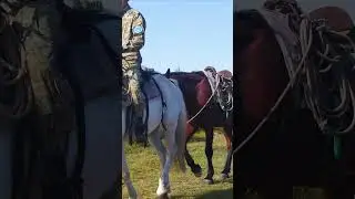 Тебе сюда нельзя! Плато Ештыкол - Алтай