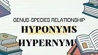 HYPONYMS AND  HYPERNYMS
