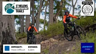 St Helens MTB Trails - Old Salty Dog - Giant St. Helens