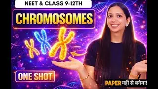 Chromosomes in ONE SHOT! 🧬 NCERT | Class 9&ndash;12 | NEET  #biology