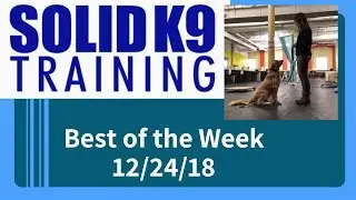 Solid K9 Training Center Best of the Week 12/24/18