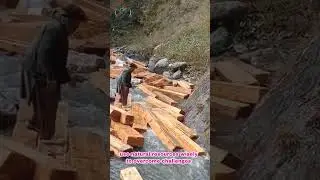 Genius Hack Floating Logs Downstream from the Mountain #LogTransport #NatureHacks #traditionalmethod