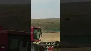 2860 laverda buğday bi&ccedil;imi
