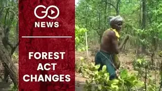 Proposed Forest Act Changes Raise Concern