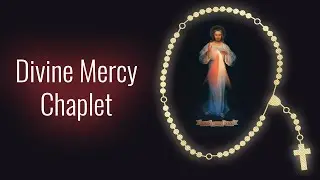 Divine Mercy Chaplet (Spoken Pray Along Video) virtual