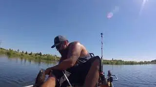New Rat lure by Illude Swimbaits