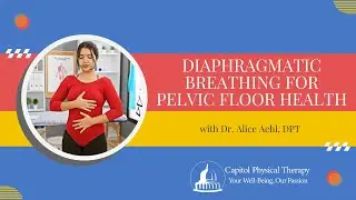 Diaphragmatic Breathing For Pelvic Floor Health | Capitol Physical Therapy | Washington DC