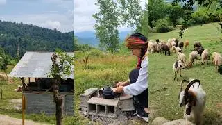 🔥 Village Girl Living Off-Grid &mdash; Cooking by Fire in a Forest Cabin