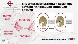 The Effect of Estrogen Receptor-Beta on Mandibular Condylar Growth - Carlos Llanos