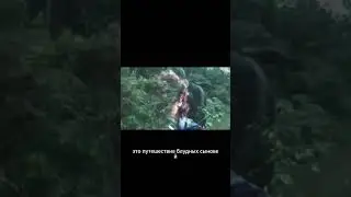 Теренс Маккена - крёстный отец психоделии #shorts #психология #психоделики #шаманизм #духовность