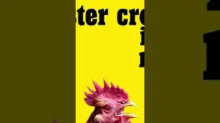 Rooster Alarm Clock