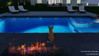 Hans new pool and negative edge spa with raised water feature and fire pit sitting area