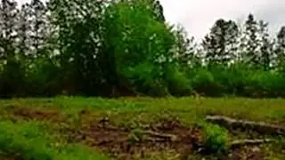 Homes for Sale - 3 Mt. Pleasant Rd Boydton VA 23917 - Keith Langford
