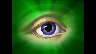 Decree 50.05 &ldquo;Beloved Cyclopea, Beholder of Perfection&rdquo; (6x)