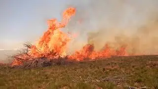Lone Peak Hotshots 2019 Season