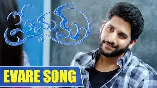 Premam Video Songs | Evare Song | Naga Chaitanya, Shruti Haasan | Chandoo | Shreyas Media