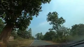From Rourkela via Betla National Park in Chota Nagpur dry deciduous forests 1