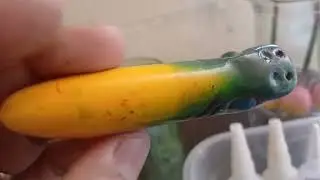  ISCA ARTESANAL DE PESCA OU MELHOR POPPER 