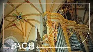 Bach - Kyrie, Gott heiliger Geist BWV 671 - Van Doeselaar | Netherlands Bach Society