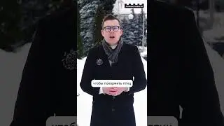 Корм для птиц унёс жизнь пожилой женщины 🕊️