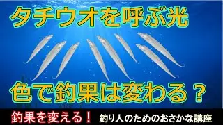 光の色より大事なもの？タチウオを寄せる仕組みを科学で解説【釣果を変える魚学#4】