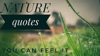 HD | NATURE QUOTES | LOVE NATURE | NATURE SAYINGS |