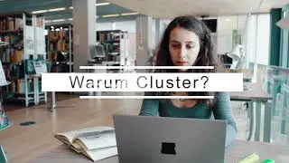 Die f&uuml;nf Cluster an der LMU Munich School of Management