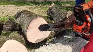 Chainsaw Echo Cs-501SX