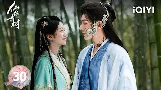 【Multi | FULL】EP30 Su Yishui loses his memory | Love of the Divine Tree 仙台有树 | iQIYI