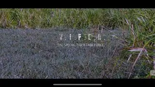 VIPER-The Special Tiger Task Force