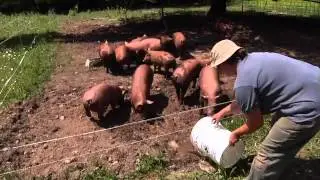 Kingbird Farm - Meet the Farmer