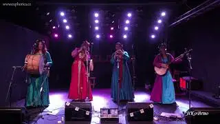 EUPHORICA | Collaudemus Christum regem - pagan world music