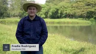 Ep 04 - AGREENCULTURA - Lumbricultura, el arte de usar lombrices para renovar la tierra.