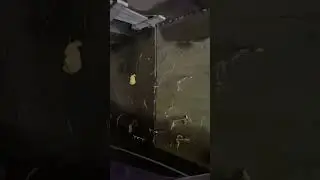 СВЕТ В КОНЦЕ ТОННЕЛЯ! #Shorts